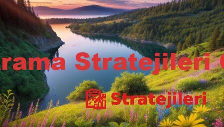 Helali Arama Stratejileri Çamlıca