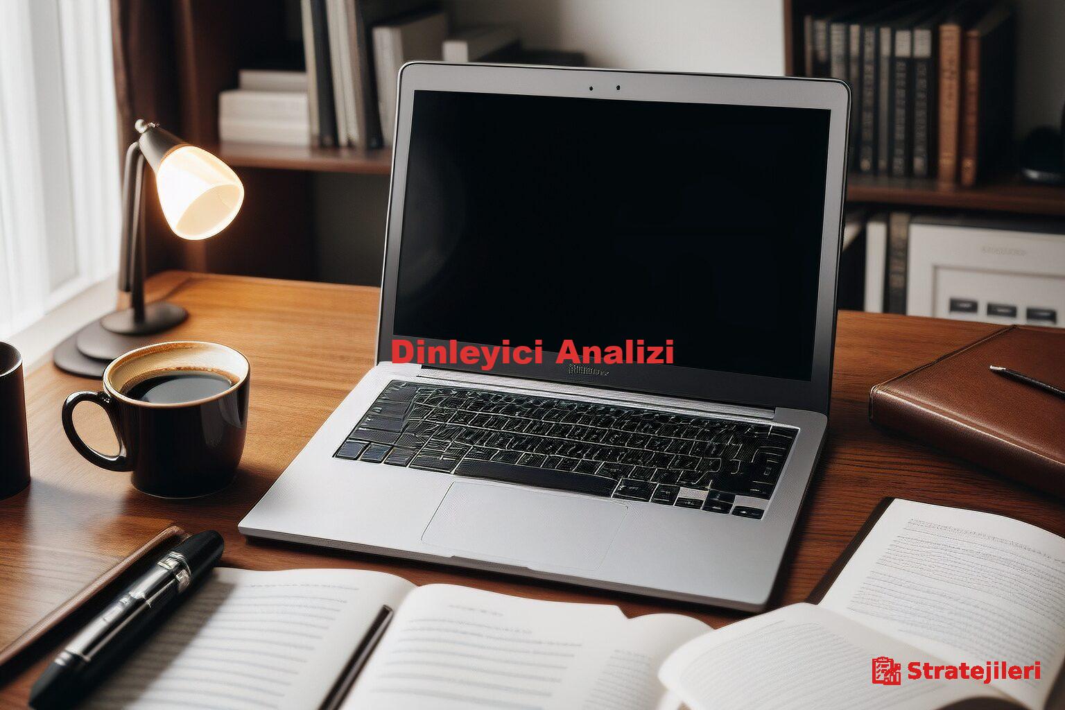 Dinleyici Analizi