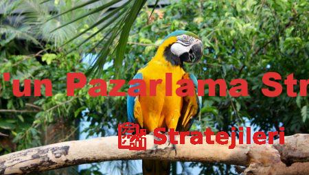 Amazon’un Pazarlama Stratejileri