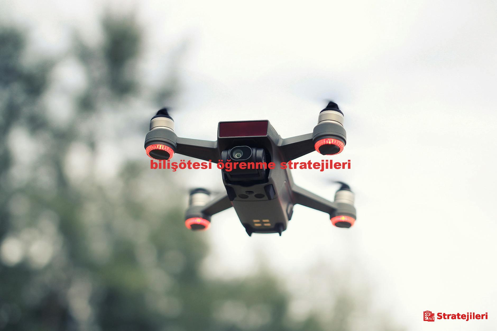  bilişötesi öğrenme stratejileri 