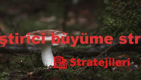 bütünleştirici büyüme stratejileri
