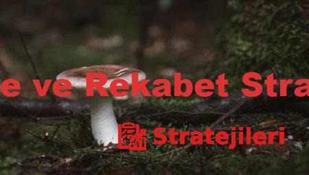 Büyüme ve Rekabet Stratejileri