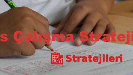 Ders Çalışma Stratejileri