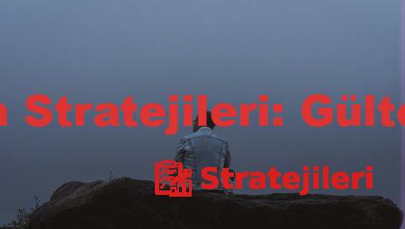 Dış Politika Stratejileri: Gültekin Sümer