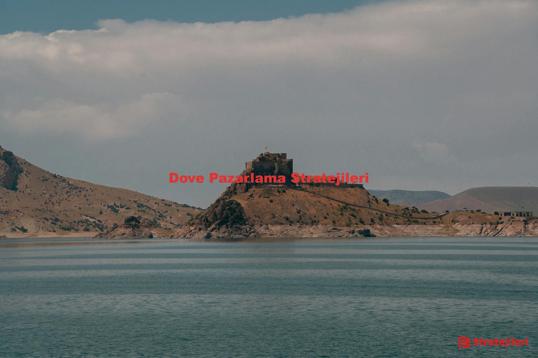 Dove Pazarlama Stratejileri