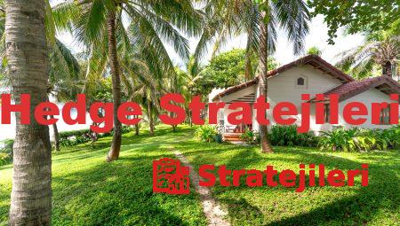 Hedge Stratejileri