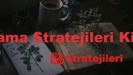 Helali Arama Stratejileri Kitap Özeti