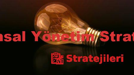 Kurumsal Yönetim Stratejileri