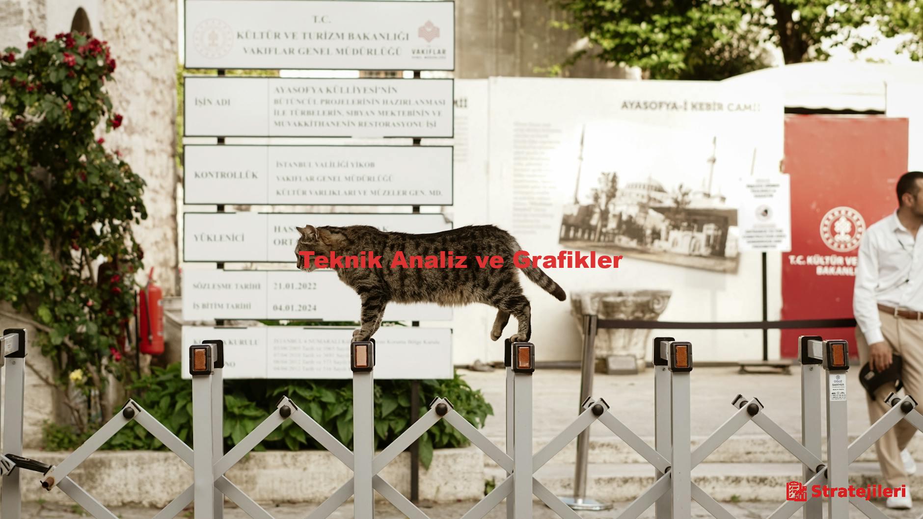 Teknik Analiz ve Grafikler