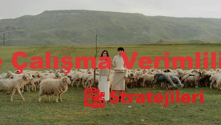 Trimonitör ile Çalışma Verimliliğinizi Artırın!