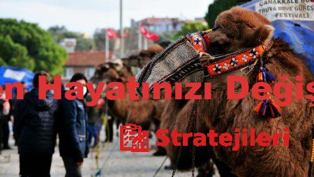 Tavsiye.org.tr’den Hayatınızı Değiştirecek Öneriler