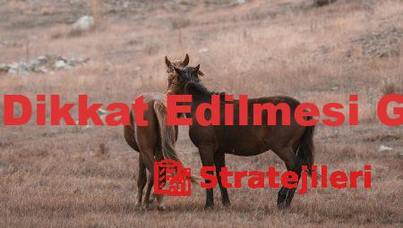 Yağ Bakımında Dikkat Edilmesi Gereken 7 Nokta