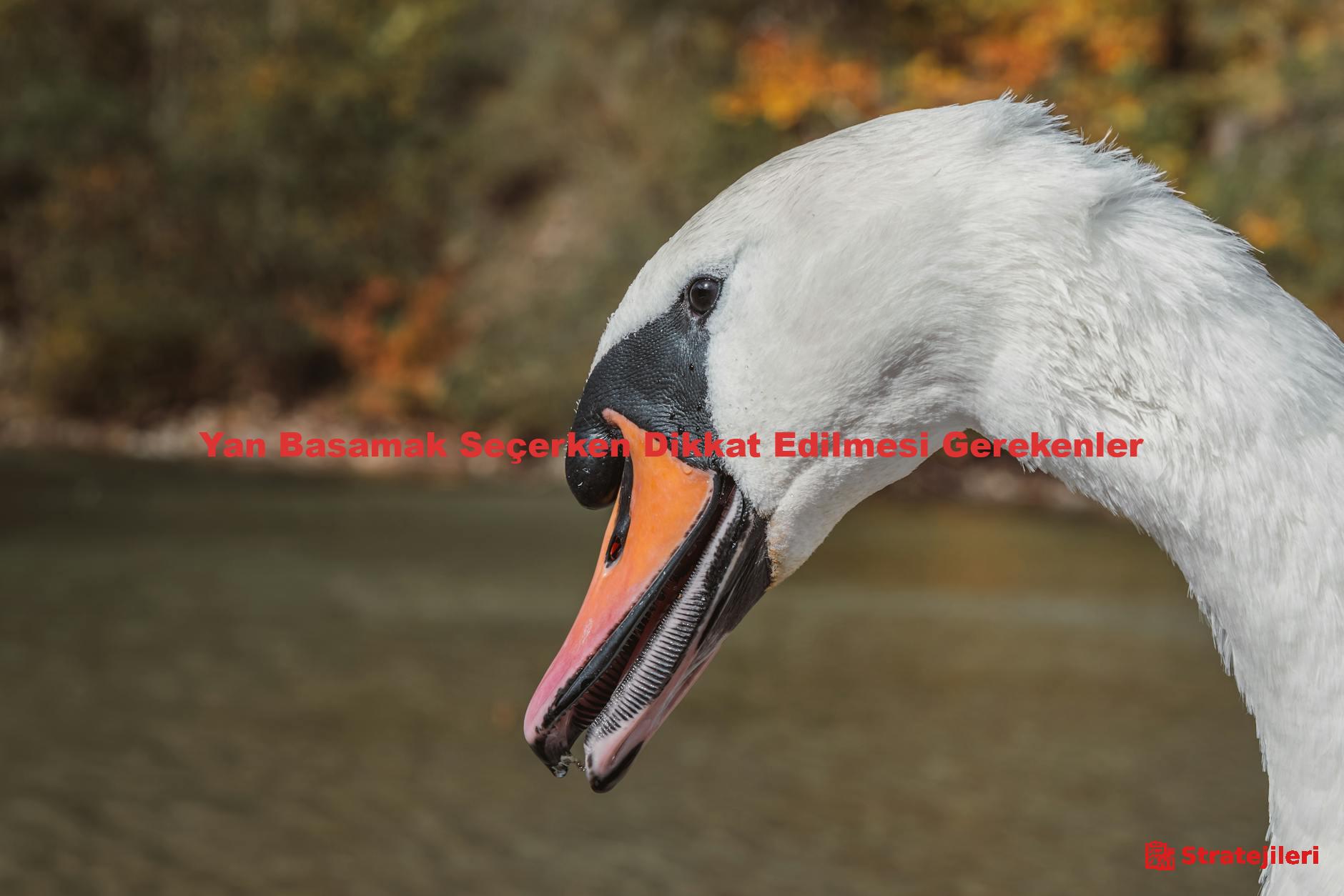 Yan Basamak Seçerken Dikkat Edilmesi Gerekenler